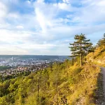 リゾート Fair Wellness & Jena 4*