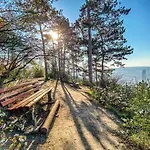 Fair Wellness & Jena リゾート