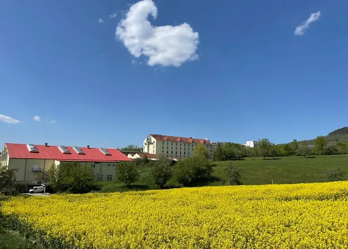 度假村 Fair Wellness & Jena Zollnitz