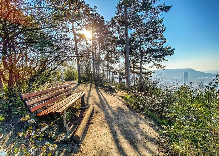 Fair Wellness & Jena Θέρετρο